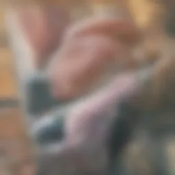 Illustration of vitamin D rich foods