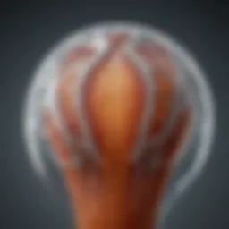 Adrenocorticotropic hormone structure