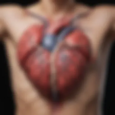 Clinical Implications of Echocardiographic Results Clinical significance of echocardiographic findings