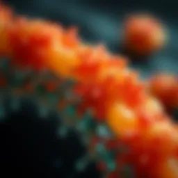 Understanding Biofilms: Definitions, Characteristics, and Implications Introduction