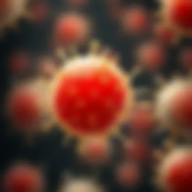 Notable Understanding Biofilms: Definitions, Characteristics, and Implications Notable Understanding Biofilms: Definitions, Characteristics, and Implications