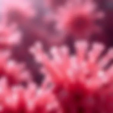 Understanding Biofilms: Definitions, Characteristics, and Implications Summary Understanding Biofilms: Definitions, Characteristics, and Implications Summary