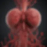 Illustration depicting the formation of blood clots in the liver