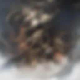 Diagram illustrating the mechanisms of Burst Spinal Cord Stimulation