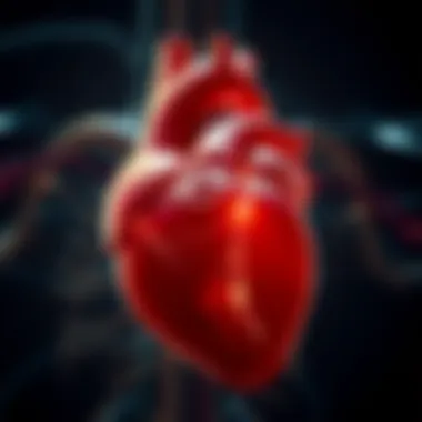 A heart depicted with congenital defects