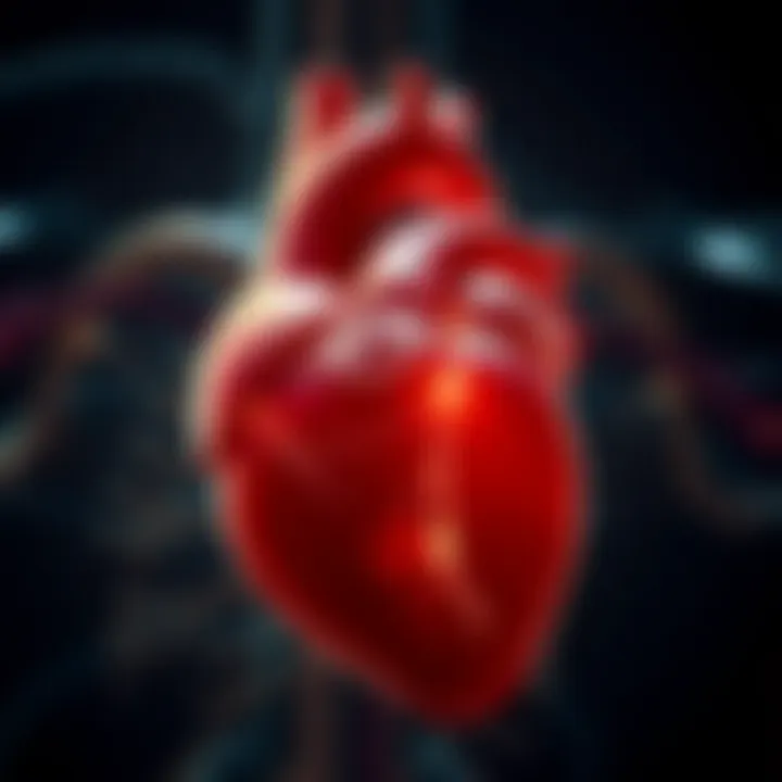 A heart depicted with congenital defects