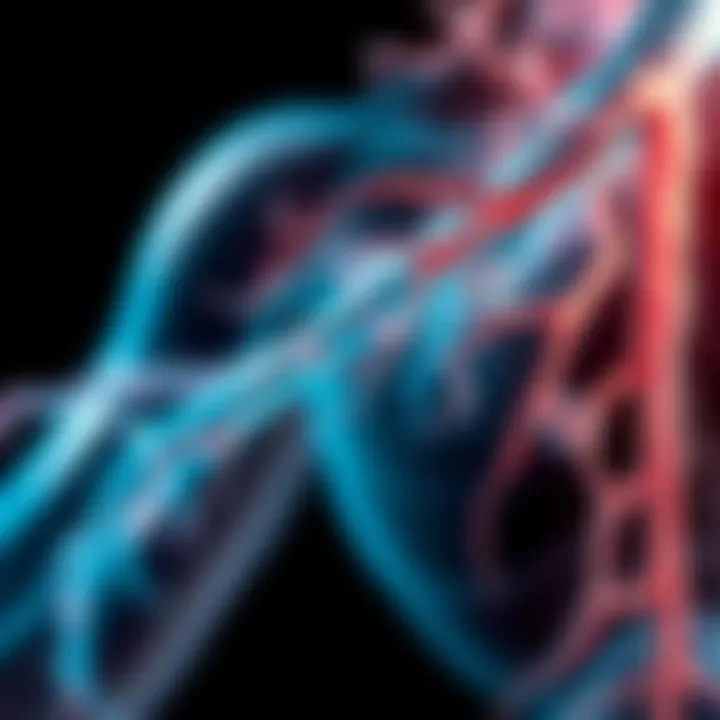 Illustration of fascia's functional role in movement