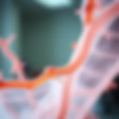 Therapeutic implications of fascia in healthcare