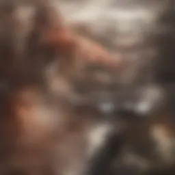 Illustration of coronary arteries highlighting stenosis