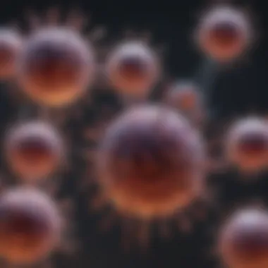 Mechanism of Cytotoxic T Cells in Action Cytotoxic T cells targeting infected cells