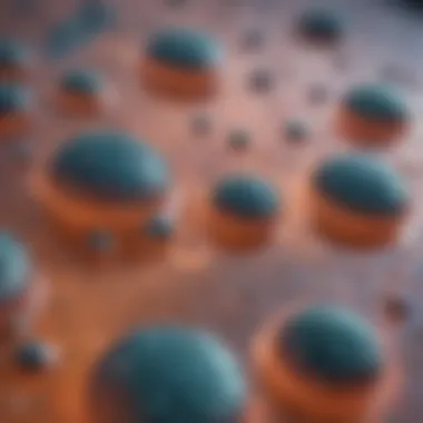 Microscopic view of epoxy surface showing gas bubbles