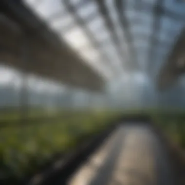 Future Trends in Greenhouse Heating Technologies A futuristic concept of advanced heating technologies for greenhouses.