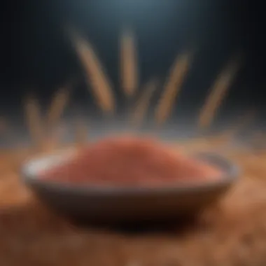 Culinary Applications of Hard Red Winter Wheat Baker showcasing products made from hard red winter wheat flour