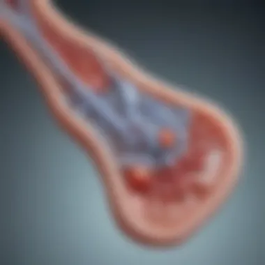 Detailed representation of hemodialysis membrane types