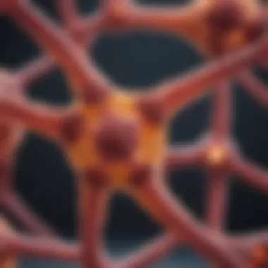 Structural Representation of IGA Antibody Structural representation of IGA antibody
