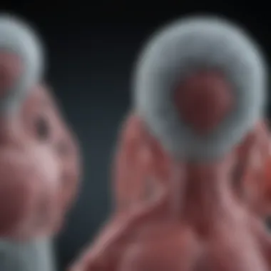 Comparison of IGA and IGG Antibodies Comparison of IGA and IGG antibodies