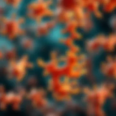 Understanding Immunoglobulin G in Medical Terms Summary