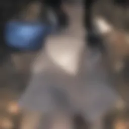 Illustration demonstrating the characteristics of an indeterminate breast mass.