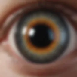 Illustration of the macula area in the retina highlighting fluid accumulation