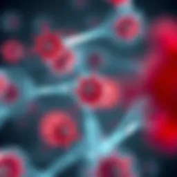 Diagram illustrating the biogenesis of MSC exosomes