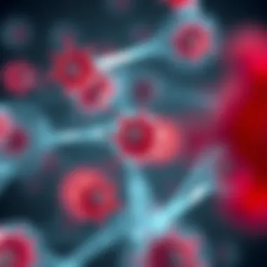 Diagram illustrating the biogenesis of MSC exosomes