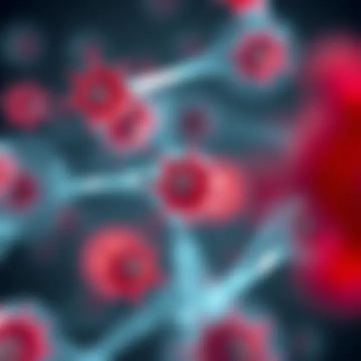 Diagram illustrating the biogenesis of MSC exosomes