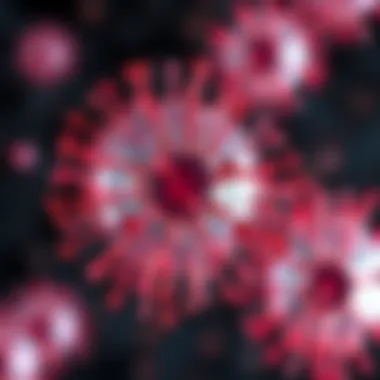 Visualization of intercellular communication mediated by MSC exosomes