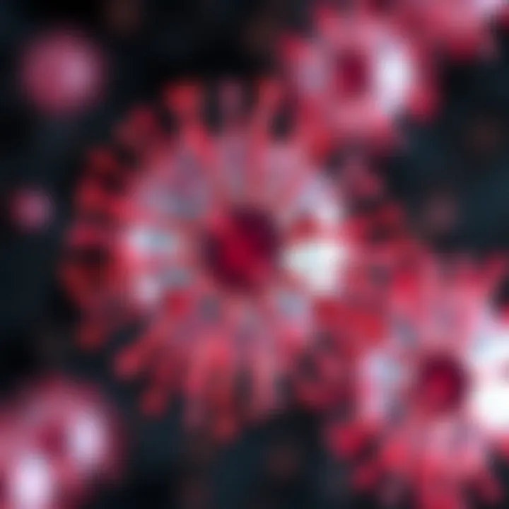 Visualization of intercellular communication mediated by MSC exosomes