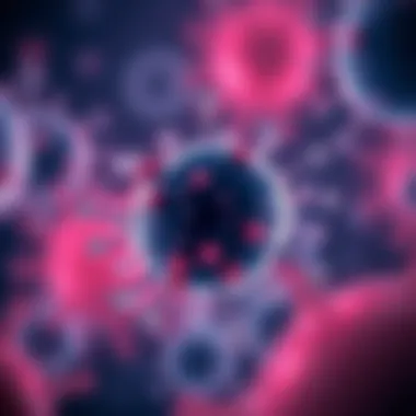 Infographic showcasing the composition of MSC exosomes