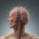 Illustration depicting the central nervous system and its relation to NMO.