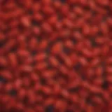 Close-up of goji berries showcasing their vibrant color and texture
