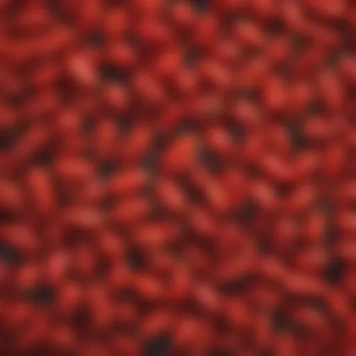 Close-up of goji berries showcasing their vibrant color and texture