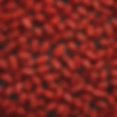 Vibrant Goji Berries Close-up of goji berries showcasing their vibrant color and texture