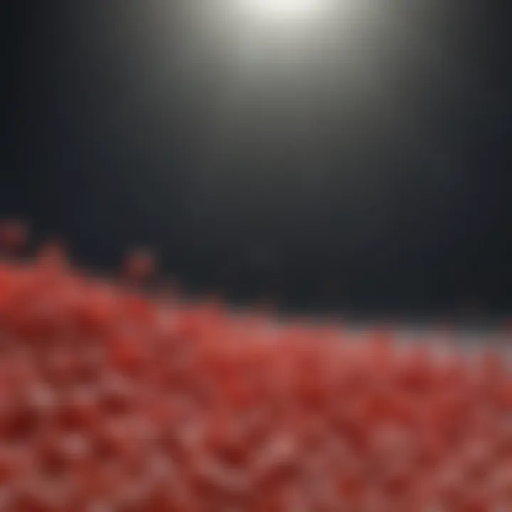 An artistic representation of the phytochemical properties of goji berries