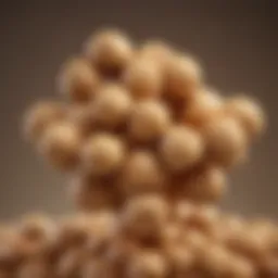 Peanut protein molecular structure