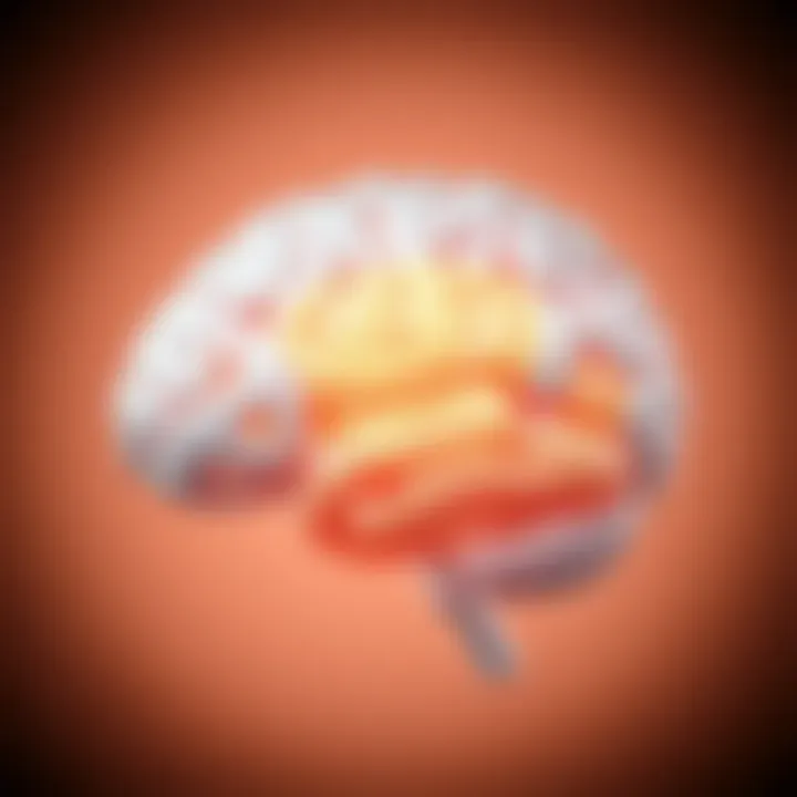 Illustration of brain anatomy highlighting porencephaly