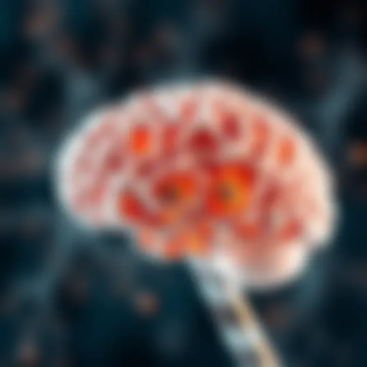 Diagram depicting the cystic structures associated with porencephaly