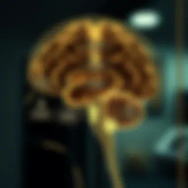 Flowchart of diagnostic protocols for porencephaly