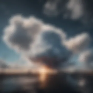 Applications of Public Cloud Services Real-world applications of public cloud solutions