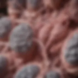 Detailed illustration of pulmonary nodules