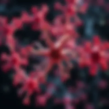 Molecular pathways influencing radiation response in tumors