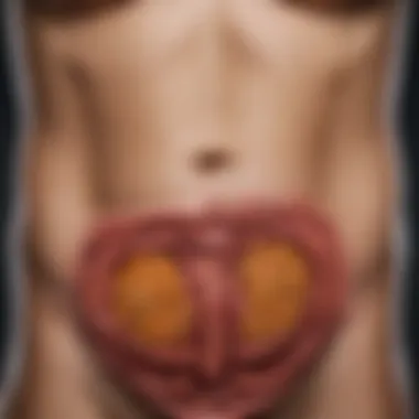 Epidemiological Data on Stomach Sarcomas Chart showing the prevalence and demographics of stomach sarcomas