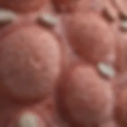 Illustration depicting various types of rashes associated with small cell lung cancer