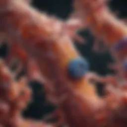 Intricate biology of stomach cancer metastasis