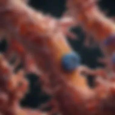 Intricate biology of stomach cancer metastasis