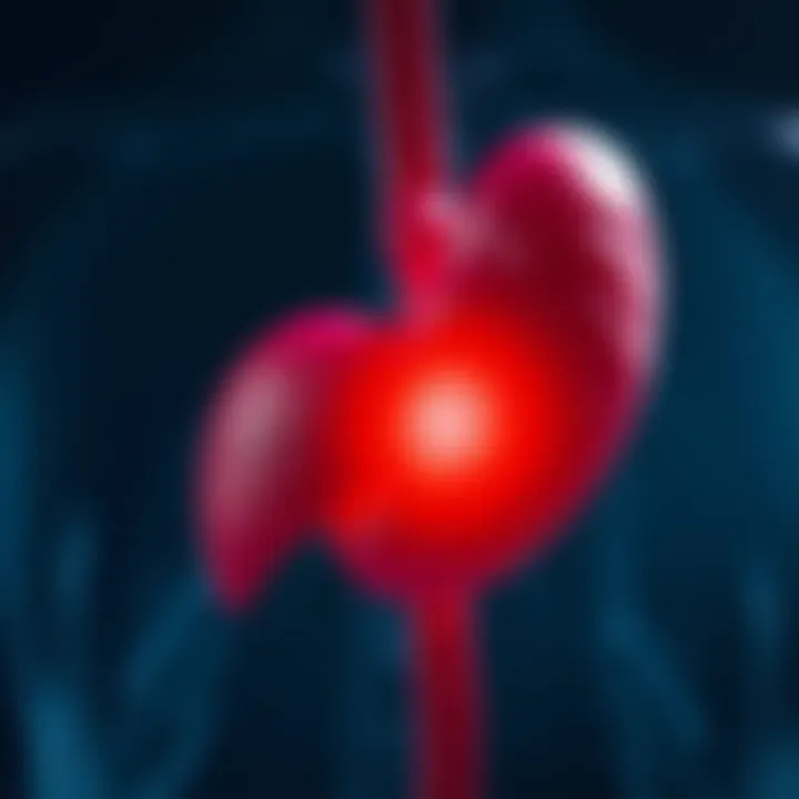 Notable Understanding the Causes of Liver Cysts