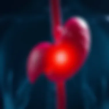 Notable Understanding the Causes of Liver Cysts Notable Understanding the Causes of Liver Cysts