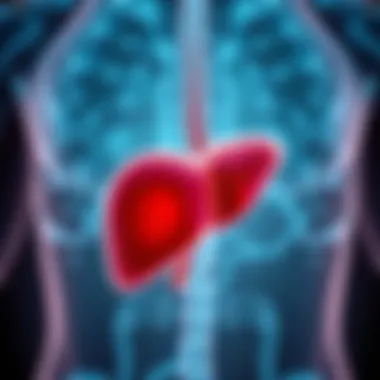 Understanding the Causes of Liver Cysts Summary Understanding the Causes of Liver Cysts Summary