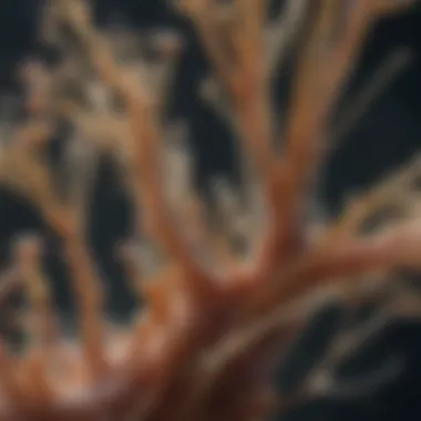 Microscopic Interaction of Fungi with Nervous Tissue Microscopic view of fungi interacting with nervous tissue