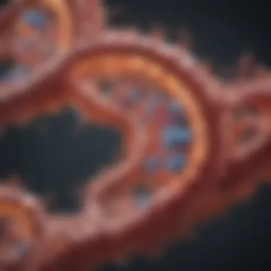 Mechanisms of mRNA Transport from Nucleus to Cytoplasm mRNA transport mechanisms